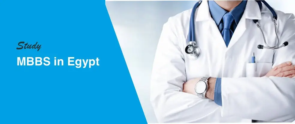 Study in Egypt (1)