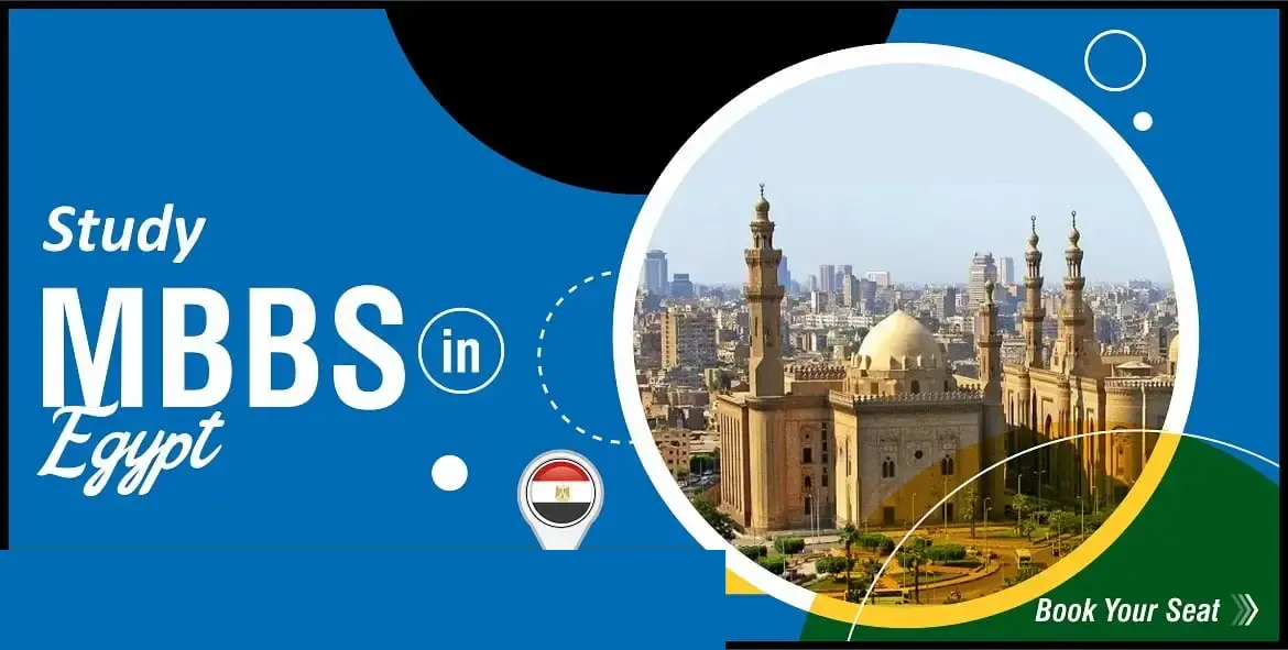 Study in Egypt (2)