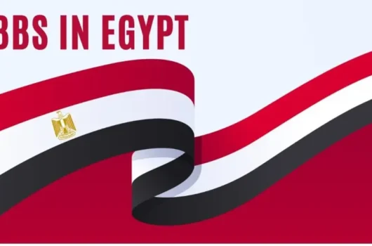 Study in Egypt Study in Egypt