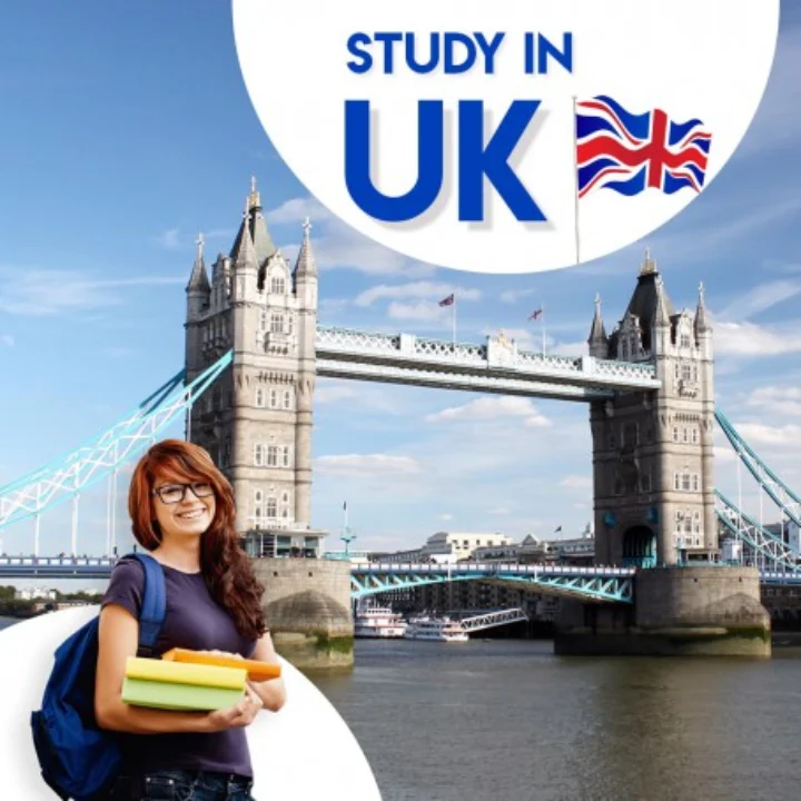 pie-uk (2)